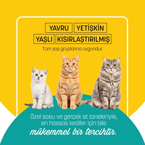 PetzzCats Ton Balığı Konserve Kedi Maması 85 Gr 6 Adet - 5