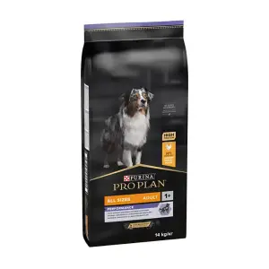 Pro Plan All Size Adult Performance Tavuklu Yetişkin Köpek Maması - Pro Plan