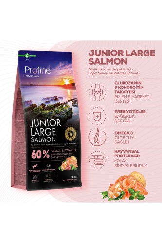 Profine Glutensiz Somonlu Büyük Irk Yavru Köpek Maması 12 kg - 2