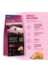 Profine Glutensiz Somonlu Yetişkin Köpek Maması 12 Kg - 2
