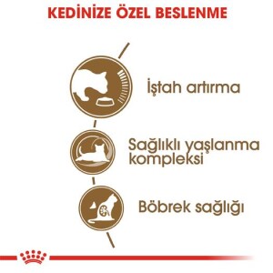 Royal Canin Ageing +12 Yaş Yaşlı Kedi Maması 2 kg - 3