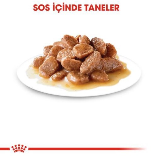 Royal Canin Ageing + 12 Yaş Kedi Konservesi 85 gr - 4