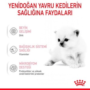 Royal Canin Babycat Milk Yavru Kedi Süt Tozu 300 gr - 2