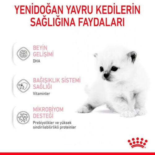Royal Canin Babycat Milk Yavru Kedi Süt Tozu 300 gr - 2