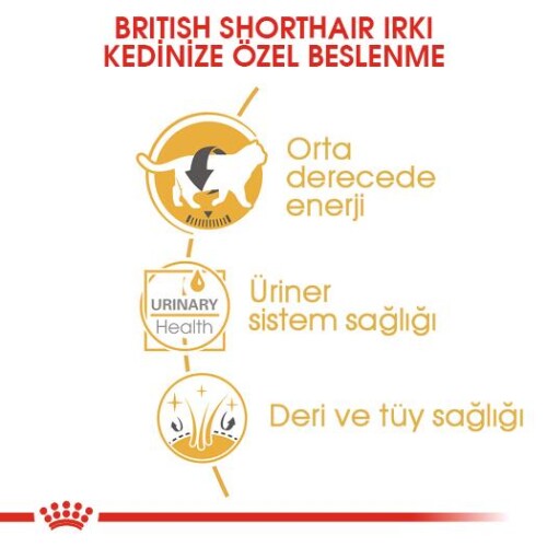 Royal Canin British Shorthair Pouch Yetişkin Kedi Konservesi 85 gr - 4