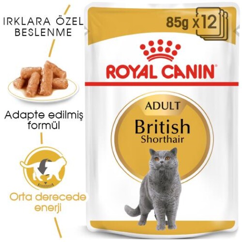 Royal Canin British Shorthair Adult Pouch Yetişkin Kedi Konservesi 85 gr - 7