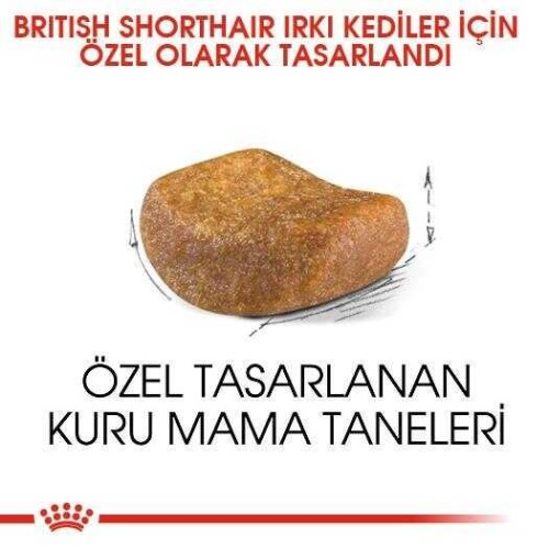 Royal Canin British Shorthair İçin Özel Irk Yetişkin Kedi Maması 400 gr - 5
