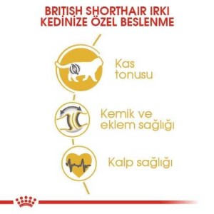 Royal Canin British Shorthair İçin Özel Irk Yetişkin Kedi Maması 400 gr - 4
