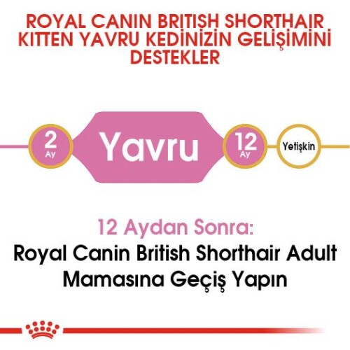 Royal Canin British Shorthair İçin Özel Yavru Kedi Maması 2 kg - 5