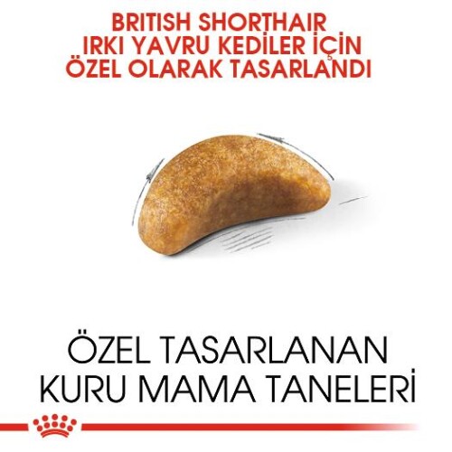 Royal Canin British Shorthair İçin Özel Yavru Kedi Maması 2 kg - 2