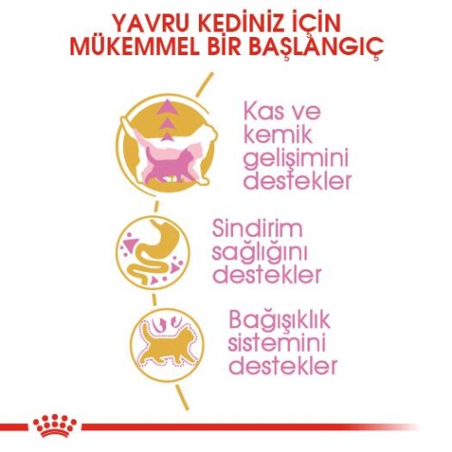 Royal Canin British Shorthair İçin Özel Yavru Kedi Maması 2 kg - 6
