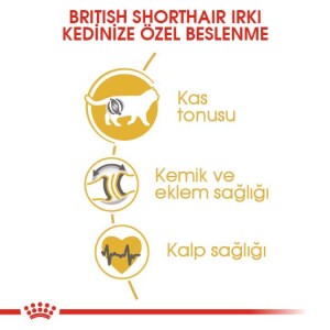 Royal Canin British Shorthair İçin Özel Irk Yetişkin Kedi Maması 10 kg - 4