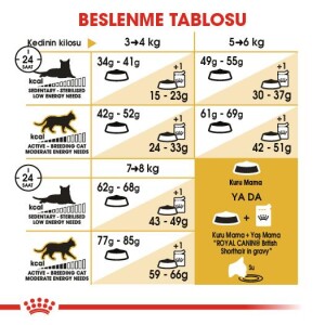 Royal Canin British Shorthair İçin Özel Irk Yetişkin Kedi Maması 10 kg - 2