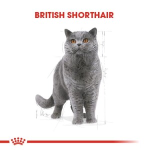 Royal Canin British Shorthair İçin Özel Irk Yetişkin Kedi Maması 2 kg - 6