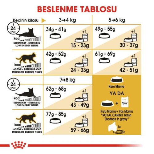Royal Canin British Shorthair İçin Özel Irk Yetişkin Kedi Maması 2 kg - 3