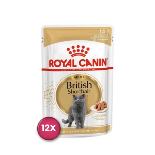 Royal Canin British Shorthair Pouch Yetişkin Kedi Konservesi 85 gr x 12 Adet - 1