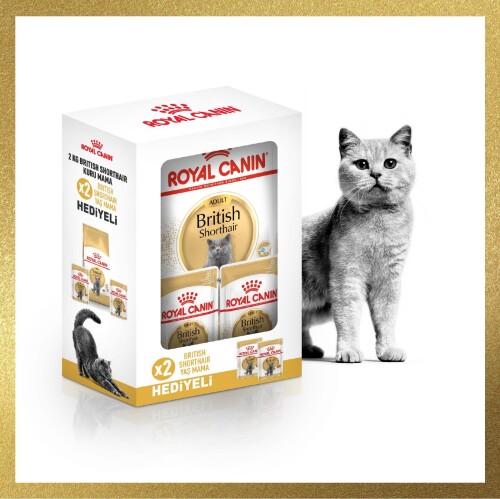 Royal Canin British Shorthair İçin Özel Irk Yetişkin Kedi Maması 2 kg + 2 Adet Pouch Hediyeli - 1