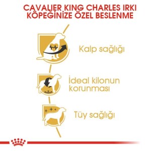Royal Canin Cavalier King Charles Yetişkin Köpek Maması 3 kg - 6