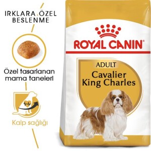 Royal Canin Cavalier King Charles Yetişkin Köpek Maması 3 kg - 7