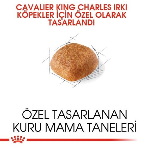 Royal Canin Cavalier King Charles Yetişkin Köpek Maması 3 kg - 4