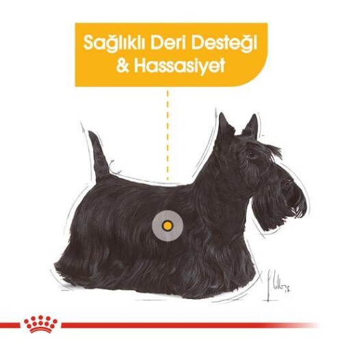 Royal Canin CCN Dermacomfort Pouch Deri Hassasiyetli Yetişkin Köpek Konservesi 85 gr - 2
