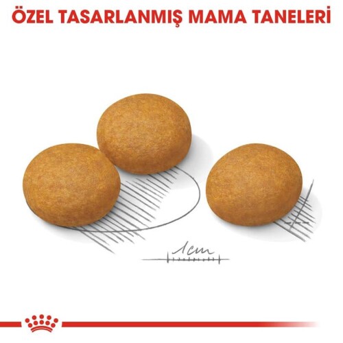Royal Canin CCN Dermacomfort Medium Orta Irk Yetişkin Köpek Maması 12 kg - 3