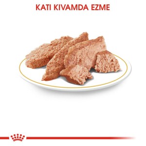 Royal Canin Chihuahua Adult Pouch Yetişkin Köpekler İçin Konserve 85 Gr - 3