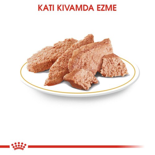 Royal Canin Chihuahua Adult Pouch Yetişkin Köpekler İçin Konserve 85 Gr - 3