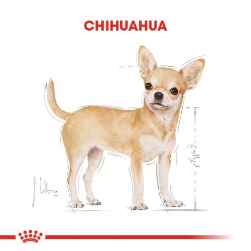 Royal Canin Chihuahua Yetişkin Köpek Maması 1,5 kg - 6