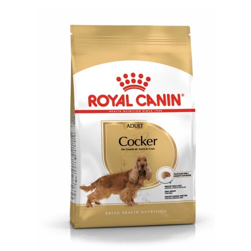 Royal Canin Cocker Adult Özel Irk Yetişkin Köpek Maması 3 kg - 1