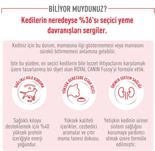 Royal Canin Fussy Exigent 35/30 Seçici Kedilere Özel Mama 2 kg - 3