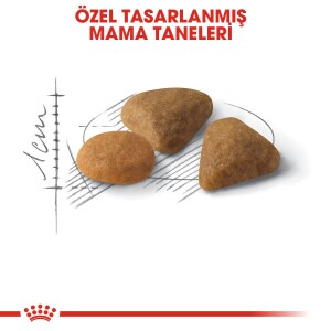 Royal Canin Exigent 35/30 Seçici Kedilere Özel Mama 2 kg - 4
