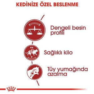 Royal Canin Fit 32 Yetişkin Kedi Maması 15 kg - 2