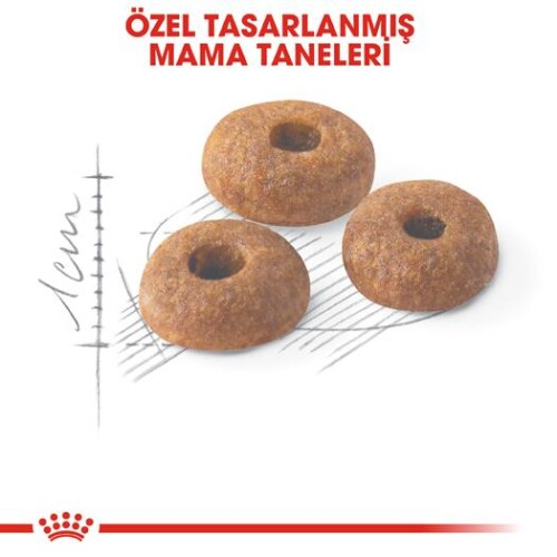 Royal Canin Fit 32 Yetişkin Kedi Maması 15 kg - 3