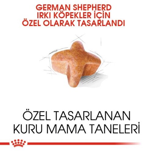 Royal Canin German Shepherd Alman Kurduna Özel Yetişkin Köpek Maması 11 kg - 2