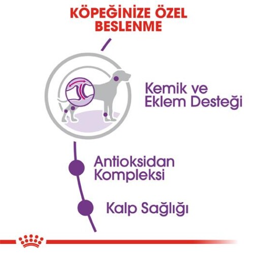 Royal Canin Giant Adult Dev Irk Yetişkin Köpek Maması 15 kg - 2
