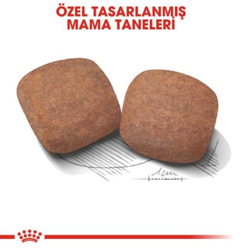 Royal Canin Giant Adult Dev Irk Yetişkin Köpek Maması 15 kg - 3