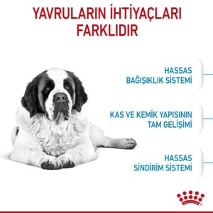 Royal Canin Giant Junior Dev Irk Yavru Köpek Maması 15 kg - 2