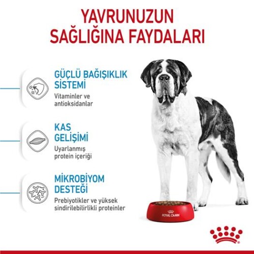 Royal Canin Giant Junior Dev Irk Yavru Köpek Maması 15 kg - 3