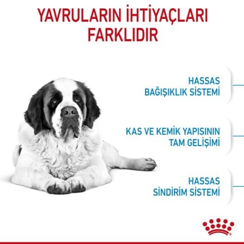 Royal Canin Giant Dev Irk Yavru Köpek Maması 15 kg - 2