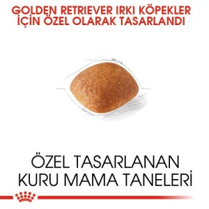 Royal Canin Golden Retriever Yetişkin Köpek Maması 12 kg - 2
