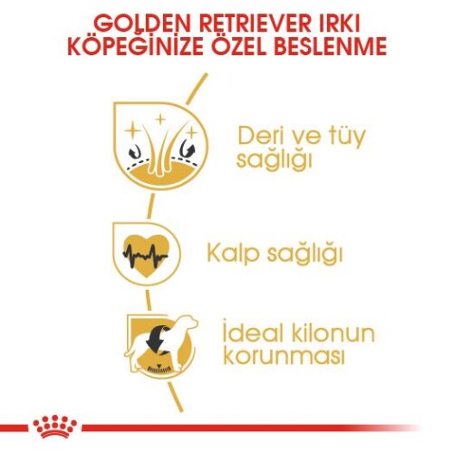 Royal Canin Golden Retriever Yetişkin Köpek Maması 12 kg - 3
