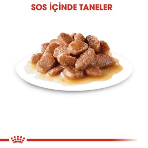 Royal Canin Gravy Pouch Kısırlaştırılmış Kediler İçin Konserve 85 gr - 4