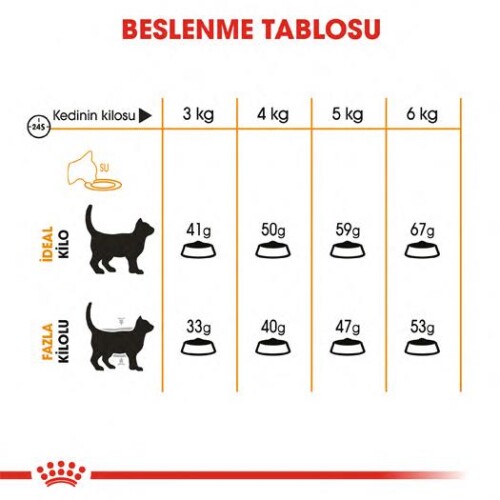 Royal Canin Hair & Skin Hassas Tüylü Kediler İçin Mama 2 kg - 4