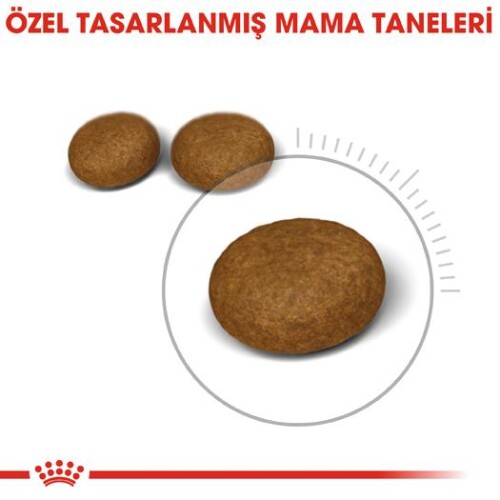 Royal Canin Hair & Skin Hassas Tüylü Kediler İçin Mama 4 kg - 2