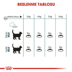 Royal Canin Hairball Tüy Yumağı İçin Kedi Maması 34 2 kg - 4