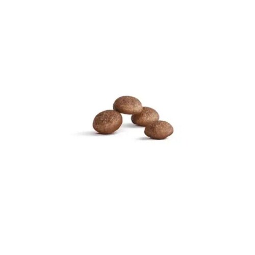 Royal Canin Healthy Ageing 11+ Yaşlı Kedi Maması 2 Kg - 2