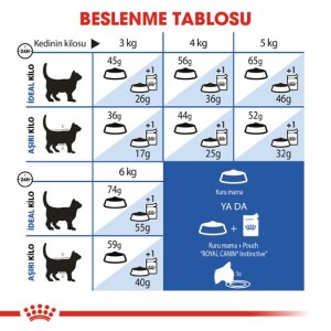 Royal Canin Indoor 27 Evden Çıkmayan Kedilere Özel Mama 2 kg - 4