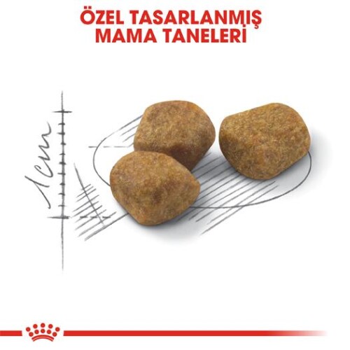 Royal Canin Indoor +7 Yaşlı Kedi Maması 3,5 kg - 3