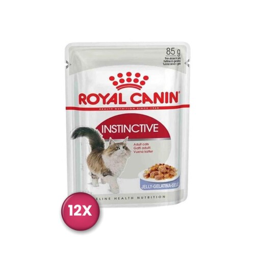 Royal Canin Instinctive In Jelly Kedi Konservesi 85 gr x 12 Adet - 1